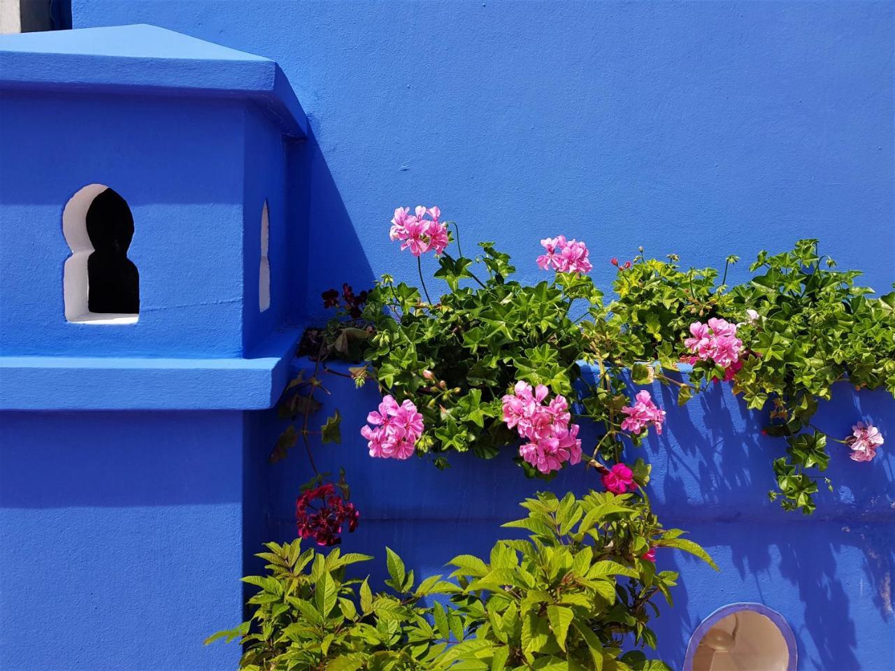 Dar Manara - Medina D'Asilah Otel Dış mekan fotoğraf